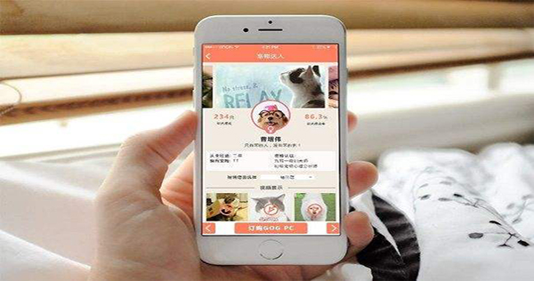 寵物行業(yè)APP存在的不足之處與發(fā)展策略，你了解多少呢？